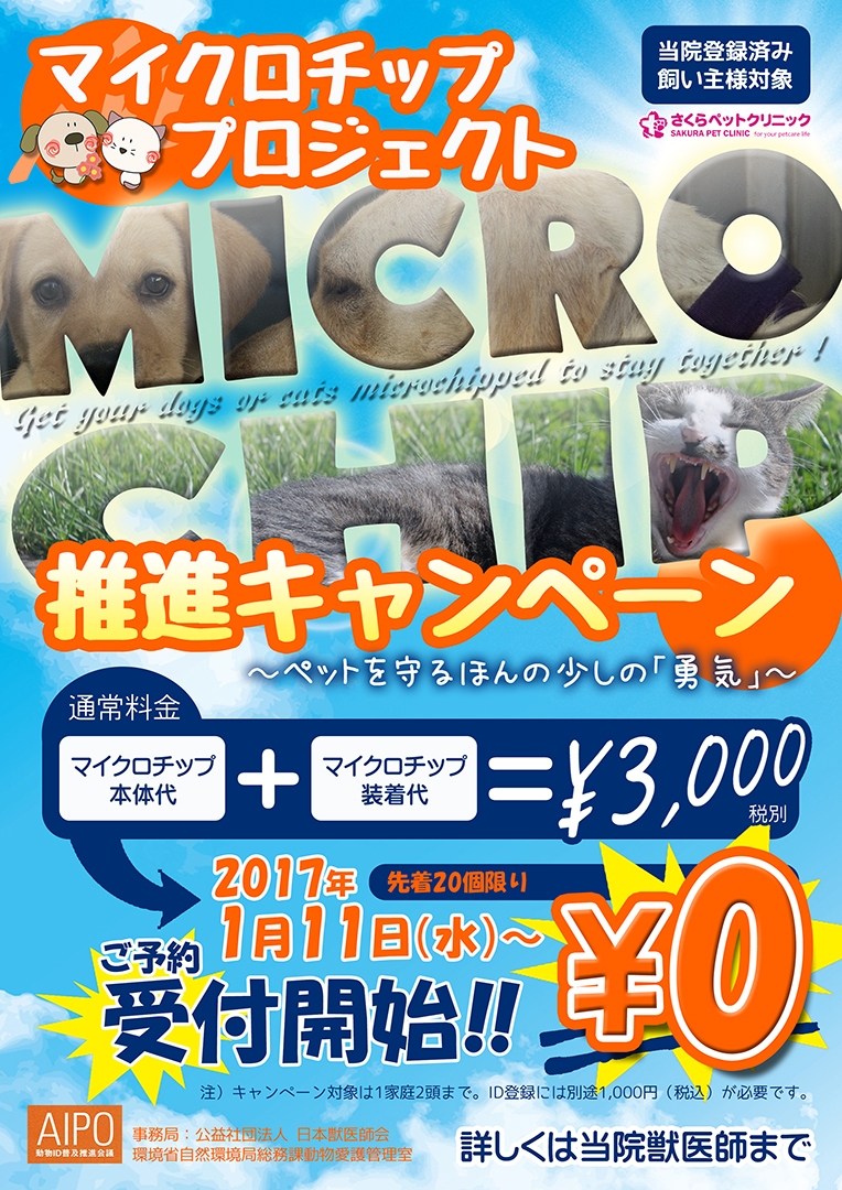 マイクロチッププロジェクト推進キャンペーン|さくらペットクリニック|動物病院|鹿児島市