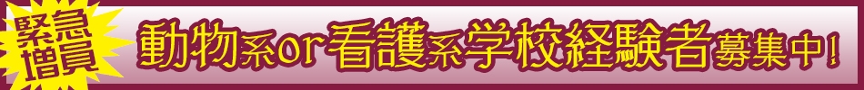 求人・採用|経験者募集|さくらペットクリニック|動物病院|鹿児島市