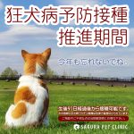 狂犬病予防接種2022｜さくらペットクリニック｜動物病院｜鹿児島市