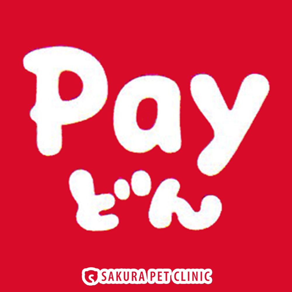 スマホアプリ【Payどん】でお支払いできます！ | さくらペット