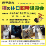 鹿児島市｜猫の休日臨時譲渡会