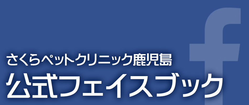 公式フェイスブック｜さくらペットクリニック鹿児島