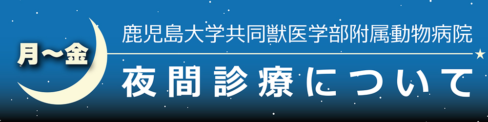 鹿大動物病院の夜間診療