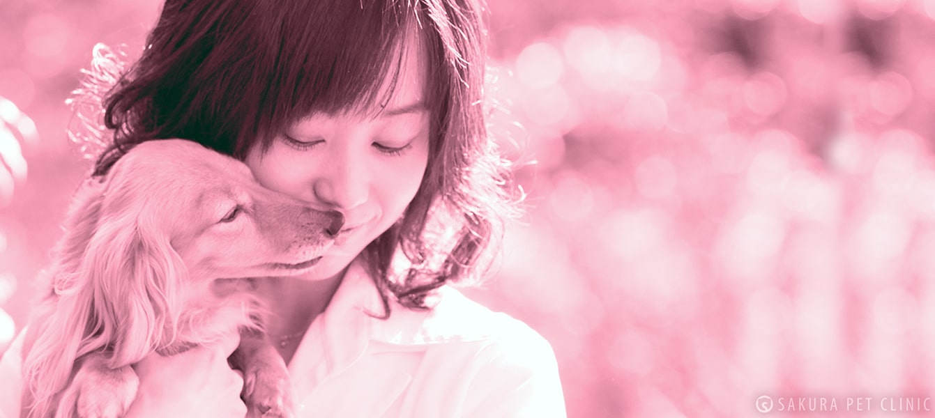 WebTopImage-1|さくらペットクリニック|動物病院|鹿児島市