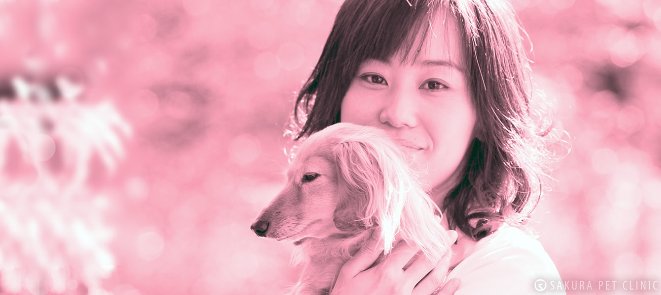WebTopImage-2|さくらペットクリニック|動物病院|鹿児島市
