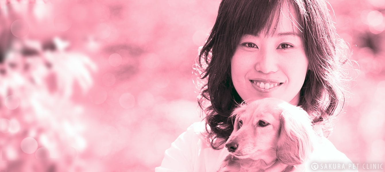 WebTopImage-3|さくらペットクリニック|動物病院|鹿児島市